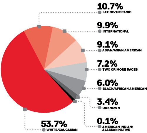 admission 2024 ethnicity stats