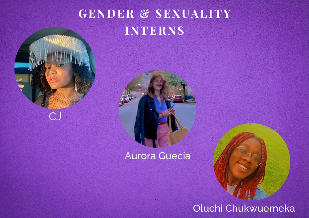 gender and sexuality interns